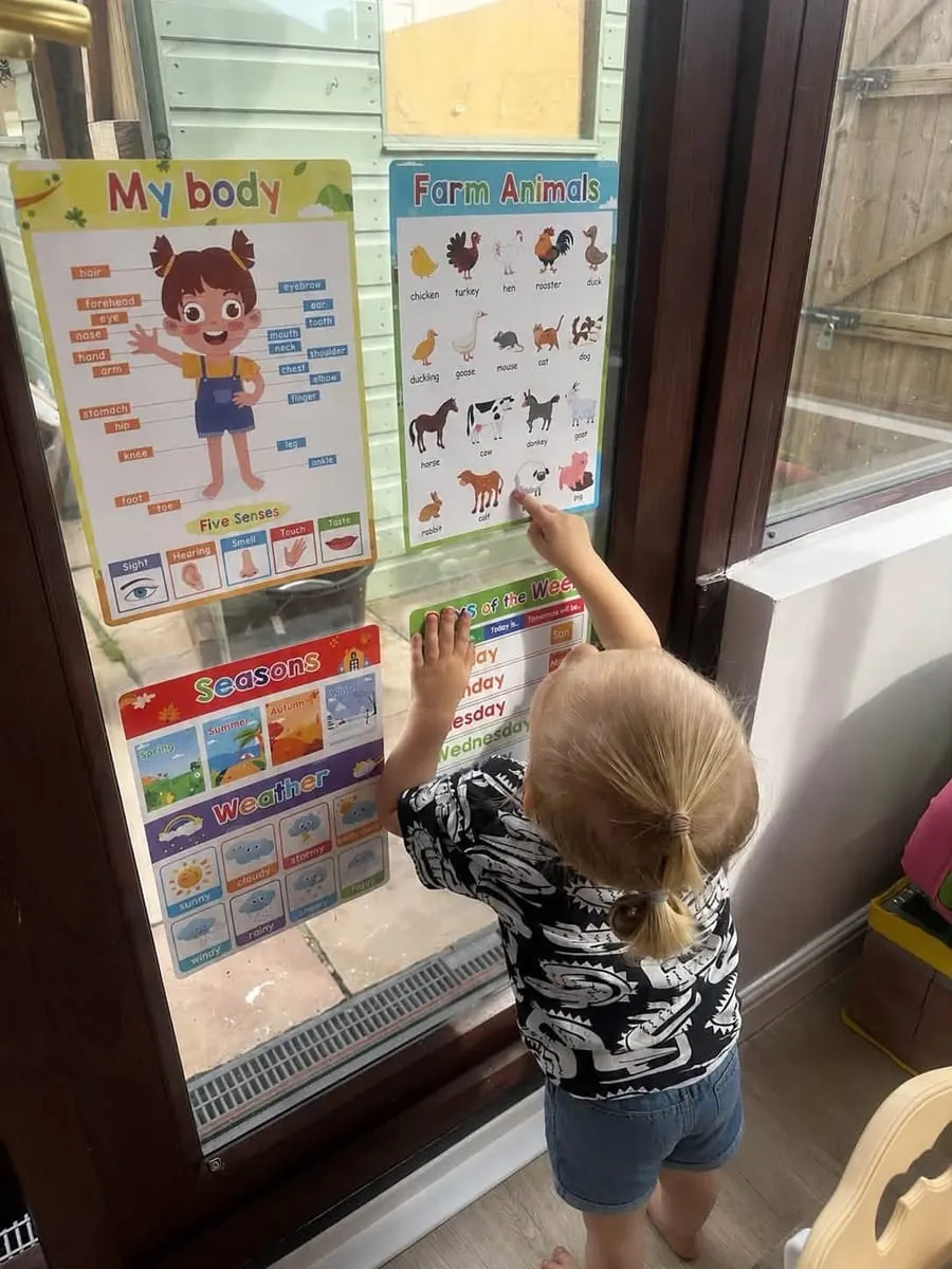 A child pointing at colourful learning posters — farm animals, my body, seasons and weather — on the window